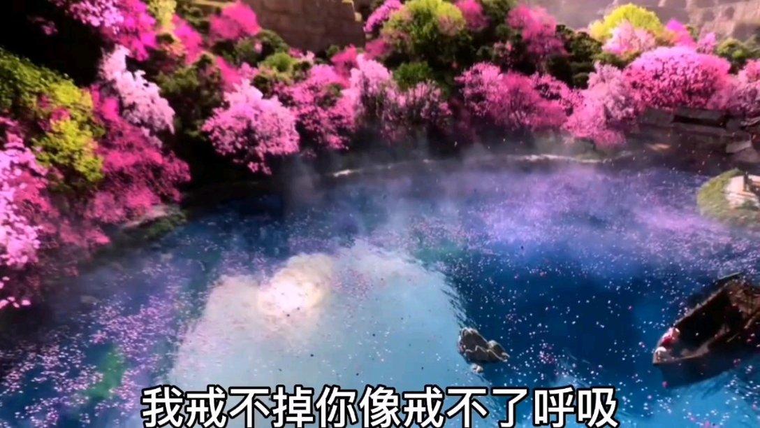 解疑答惑,畅享人体脂肪秤上的mus代表什么意思?有问必答平台!